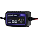 大自工業 セレクト式自動パルス充電器 12V/24Vバッテリー対応　購入特典付き セレクト式自動パルス充電機│身近な優れものショップ